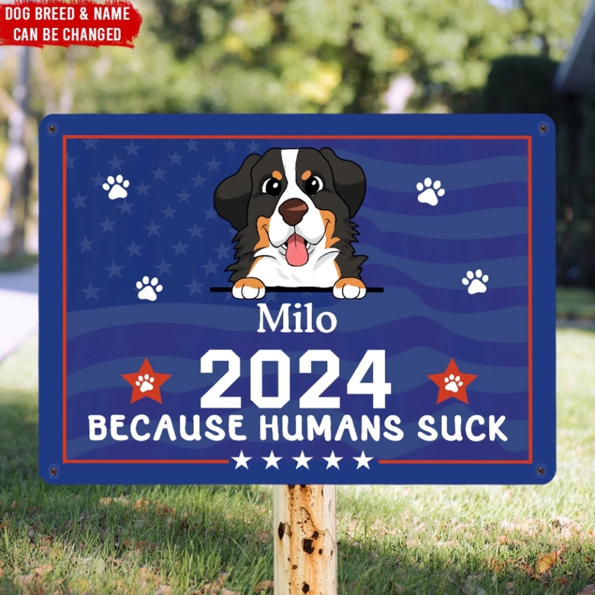 668b642a4d6d2_large