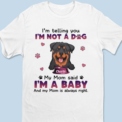 67a4217a9f2af_large